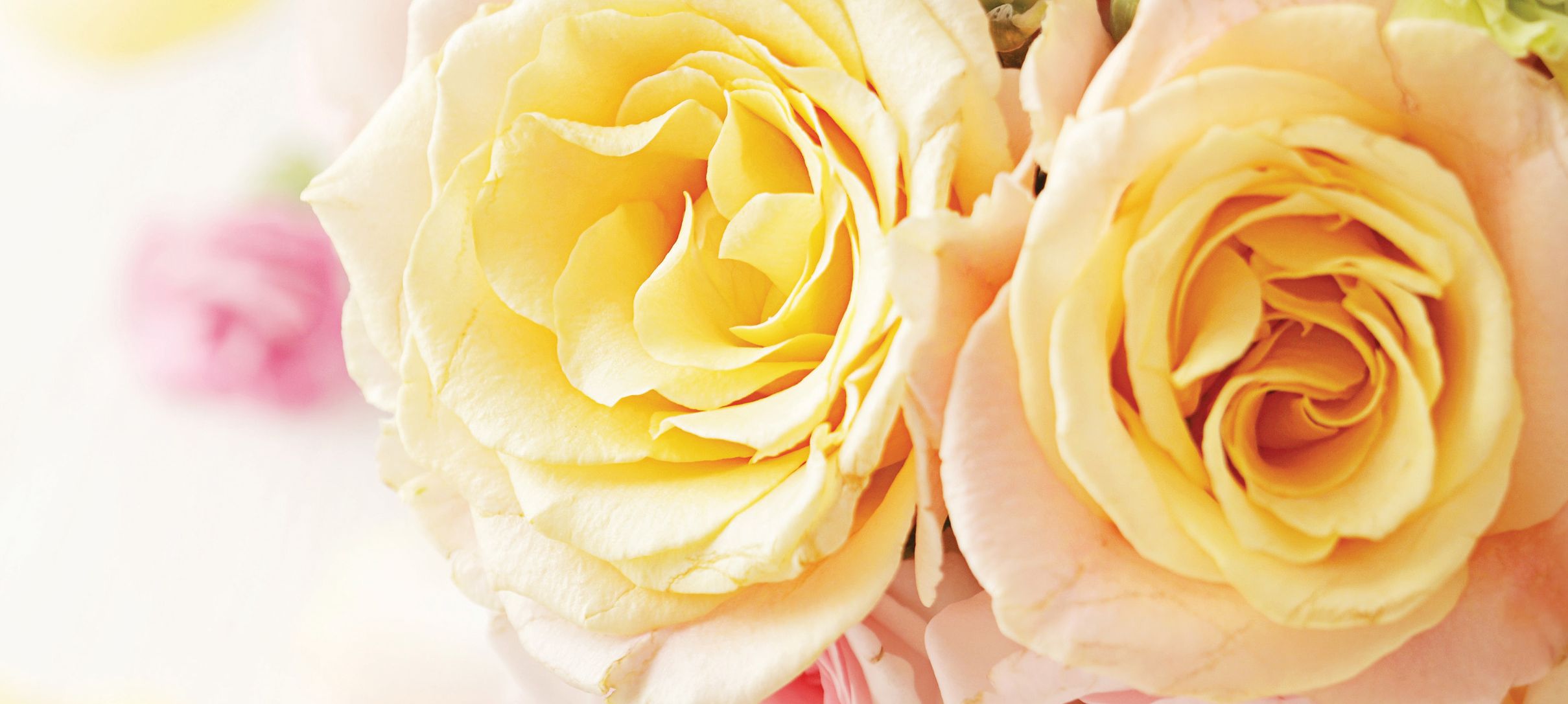 Pictures of colorful flowers for Mother's Day